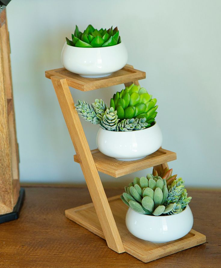 3-Tier Wooden Succulent Plant Stand with Ceramic Pots