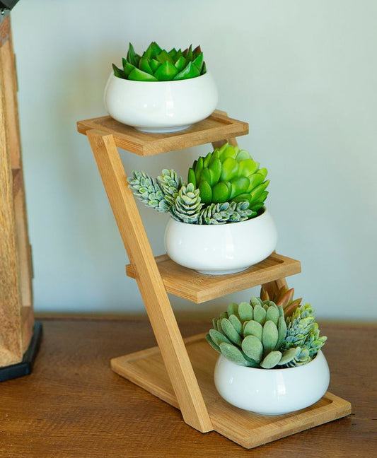 3-Tier Wooden Succulent Plant Stand with Ceramic Pots